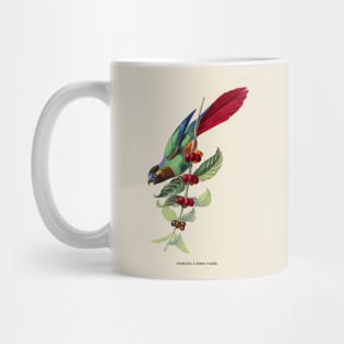 Colorful Parrot Antique Naturalist Illustration Mug